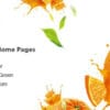 Ogami Organic Store WordPress Theme