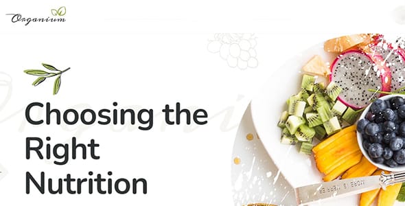 Organium Healthy and Organic Food Woocommerce Theme