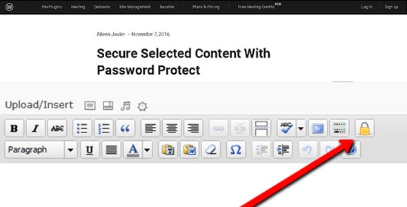 Password Protect Selected Content for WordPress