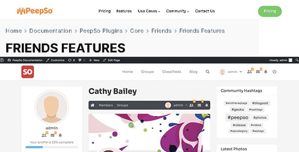 PeepSo Core Friends for WordPress
