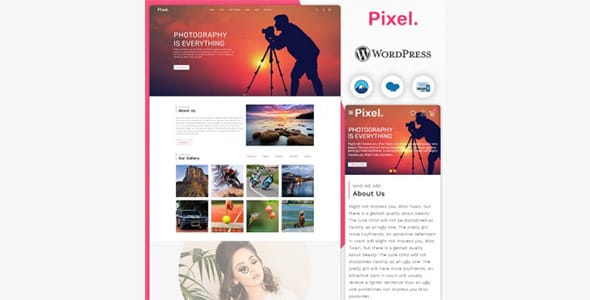 Pixel Responsive WordPress Theme by Marios Lublinski