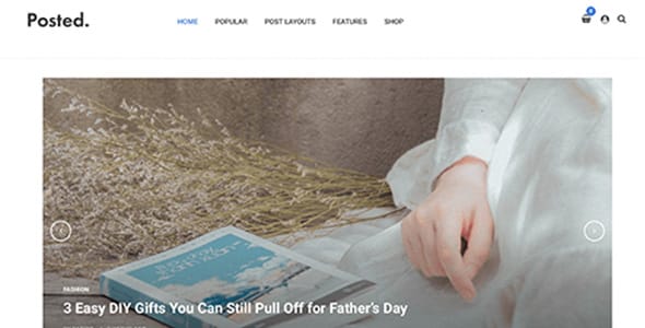 Posted WordPress Theme by Theme Junkie