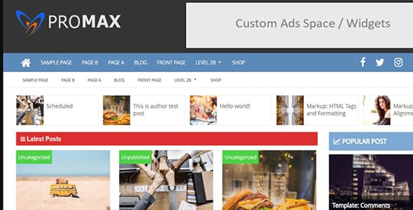 ProMaxPro WordPress Theme by sandy