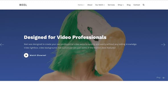 Reel WordPress Theme by WPZOOM