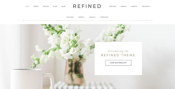 Refined WordPress Theme by Restored 316 Designs