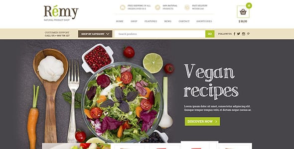 Rémy WordPress Theme by Your Inspiration Themes
