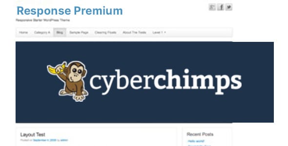 Response Premium WordPress Theme by CyberChimps