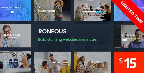 Roneous Creative Multi Purpose WordPress Theme