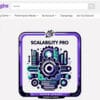 Scalability Pro for WordPress