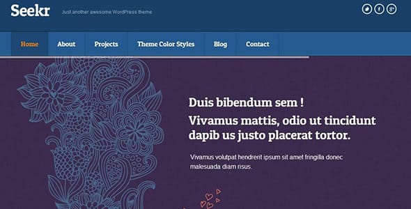Seekr WordPress Theme by Themeskingdom
