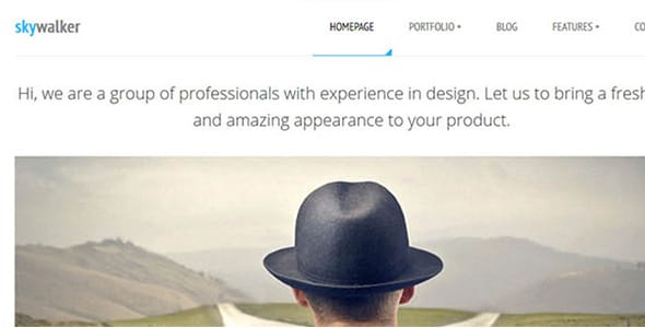 SkyWalker WordPress Theme by TeslaThemes