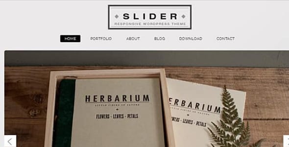 Slider Responsive WordPress Theme by Marios Lublinski