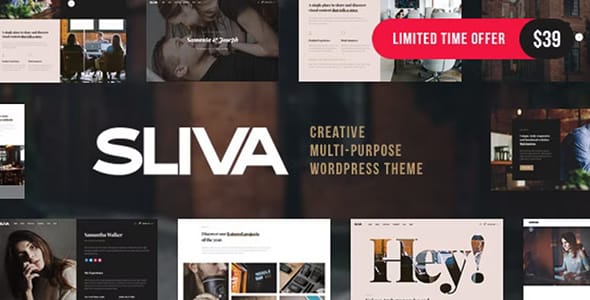 Sliva WordPress Theme by TVDA Themes