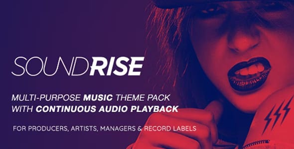 SoundRise Artists Producers and Record Labels WordPress Theme