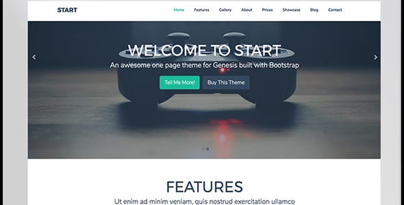 Start WordPress Theme by Zigzagpress