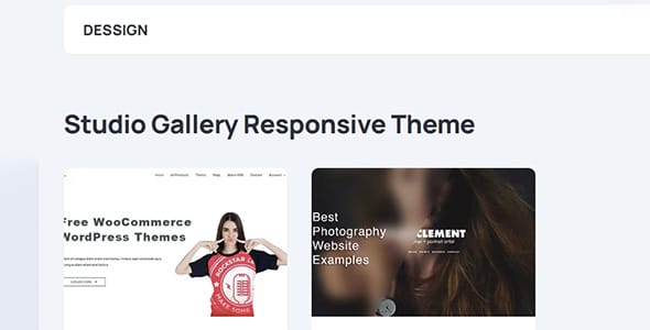 Studio Gallery Responsive WordPress Theme by Marios Lublinski