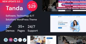 Tanda IT Solutions WordPress Theme