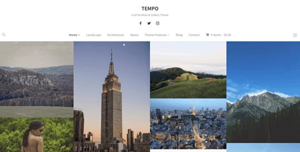 Tempo WordPress Theme by WPZOOM