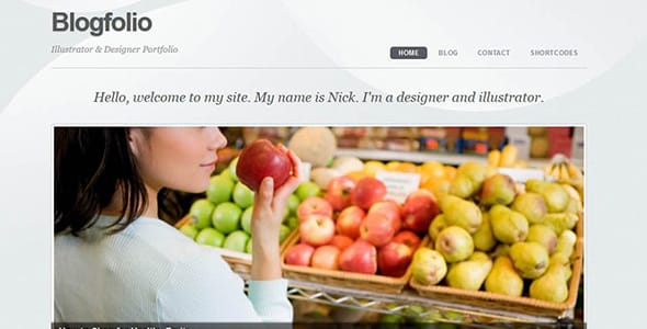 Themify Blogfolio WordPress Theme by Themify