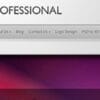 TheProfessional WordPress Theme by Elegant Themes