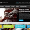 TheSource WordPress Theme by Elegant Themes