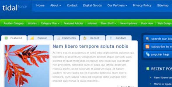 TidalForce WordPress Theme by Elegant Theme