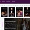 ToroPlay WordPress Theme