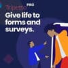 Tripetto Pro for WordPress