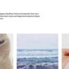 Ubud WordPress Theme by Elmastudio