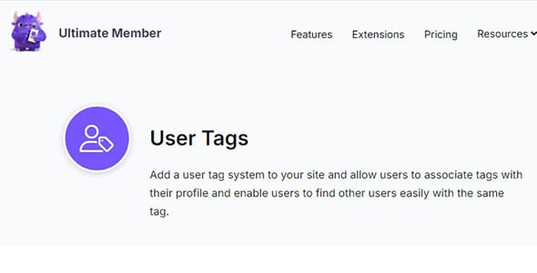 Ultimate Member User Tags for WordPress