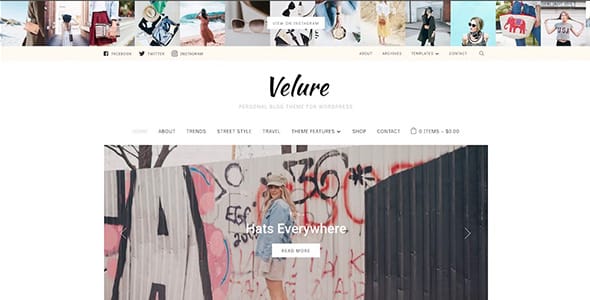 Velure WordPress Theme by WPZOOM