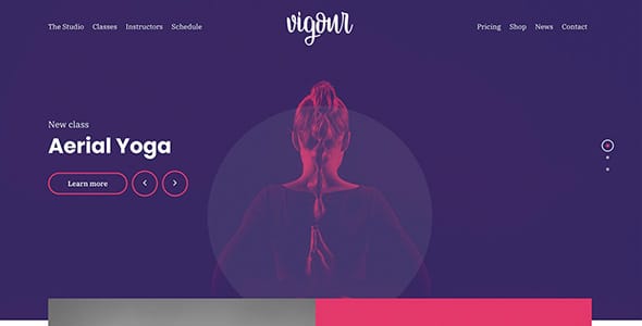 Vigour WordPress Theme by CSSIgniter