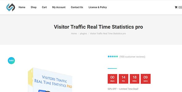 Visitor Traffic Real Time Statistics pro for WordPress