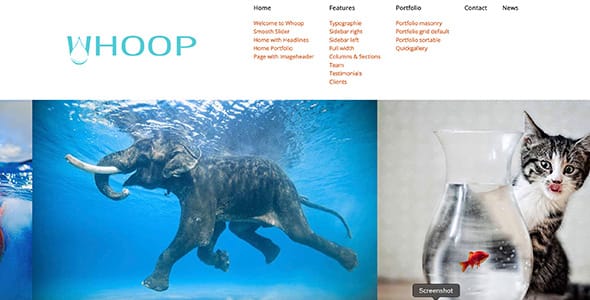 Whoop Premium WordPress Theme by Web Rockstars