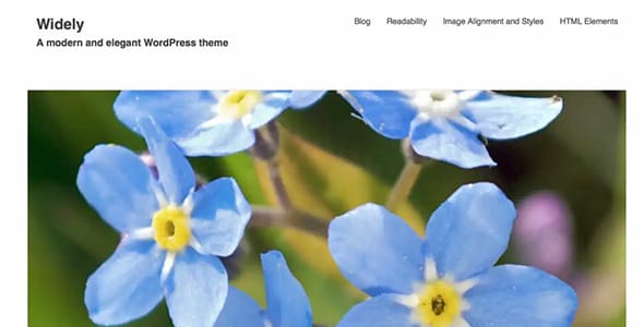 Widely WordPress Theme by Themes Kingdom