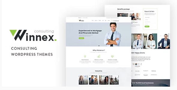 Winnex Business Consulting WordPress Themes