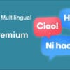 Multilingual CMS Premium WordPress Plugin for WordPress