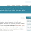 Multilingual Yoast SEO Multilingual Addon for WordPress