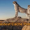 WP Fastest Cache Premium for WordPress