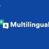 WP Grid Builder Multilingual for WordPress