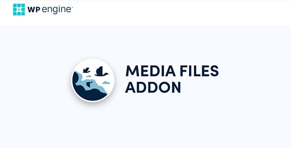 WP Migrate DB Pro Media Files for WordPress
