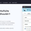 WP Migrate DB Pro Multisite Tools for WordPress