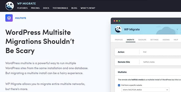 WP Migrate DB Pro Multisite Tools for WordPress