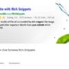 WP Rich Snippets Bundle for WordPress