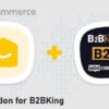 YayMail Addon for B2BKing for WordPress