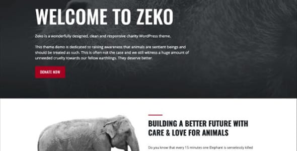 Zeko Charity Non Profit WordPress Theme