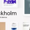 Stockholm Creative Business and WooCommerce Elementor Theme